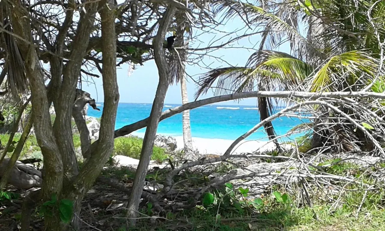 Tooj Cheel Lodge Tulum