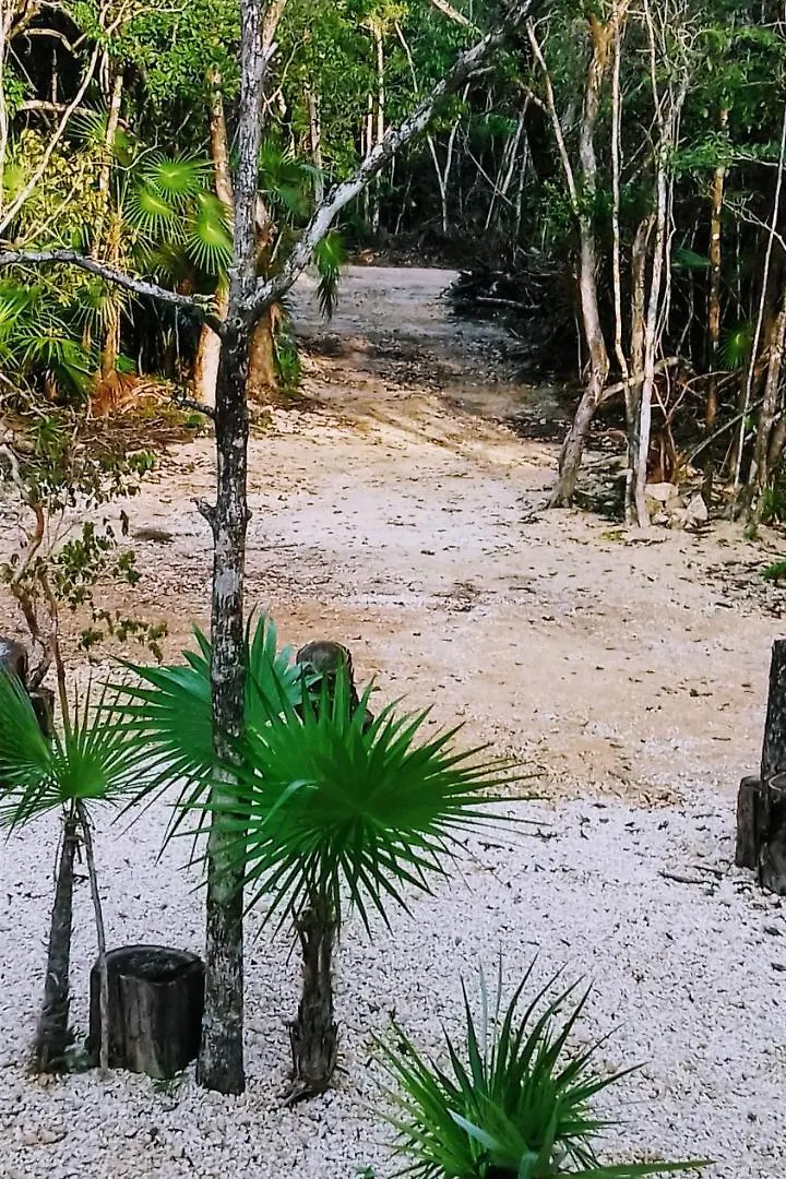 Tooj Cheel Lodge Tulum Mexico