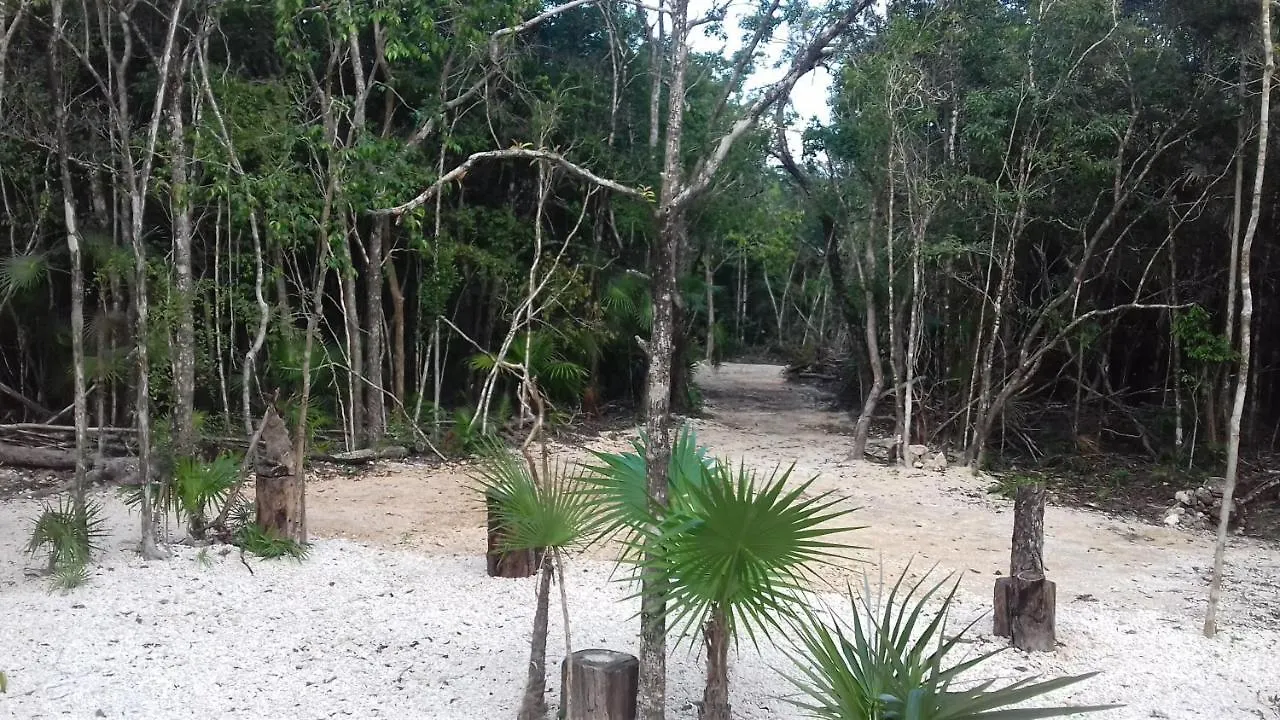 Tooj Cheel Lodge Tulum Mexico