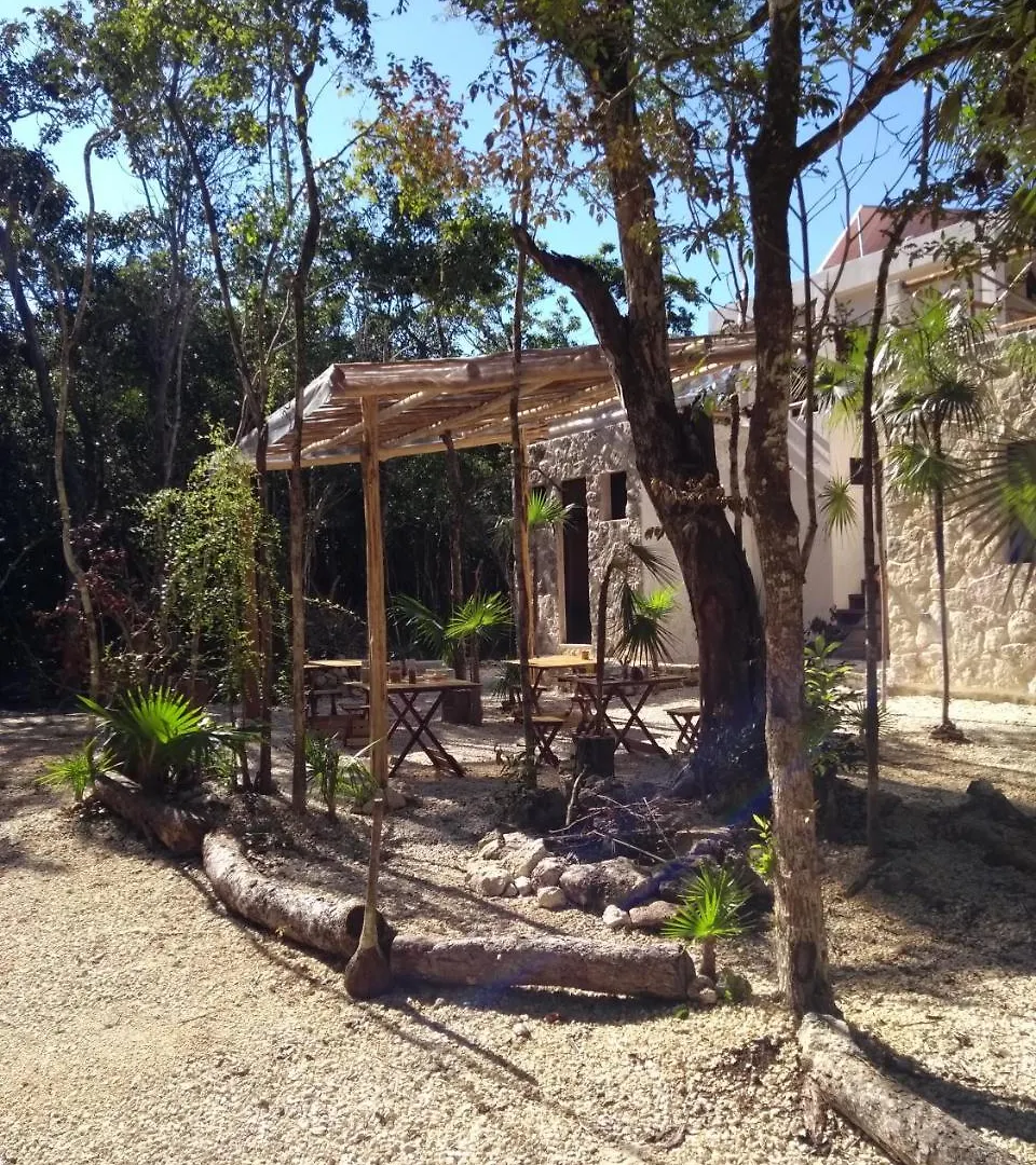 *** Bed & Breakfast Tooj Cheel Lodge Tulum Mexico