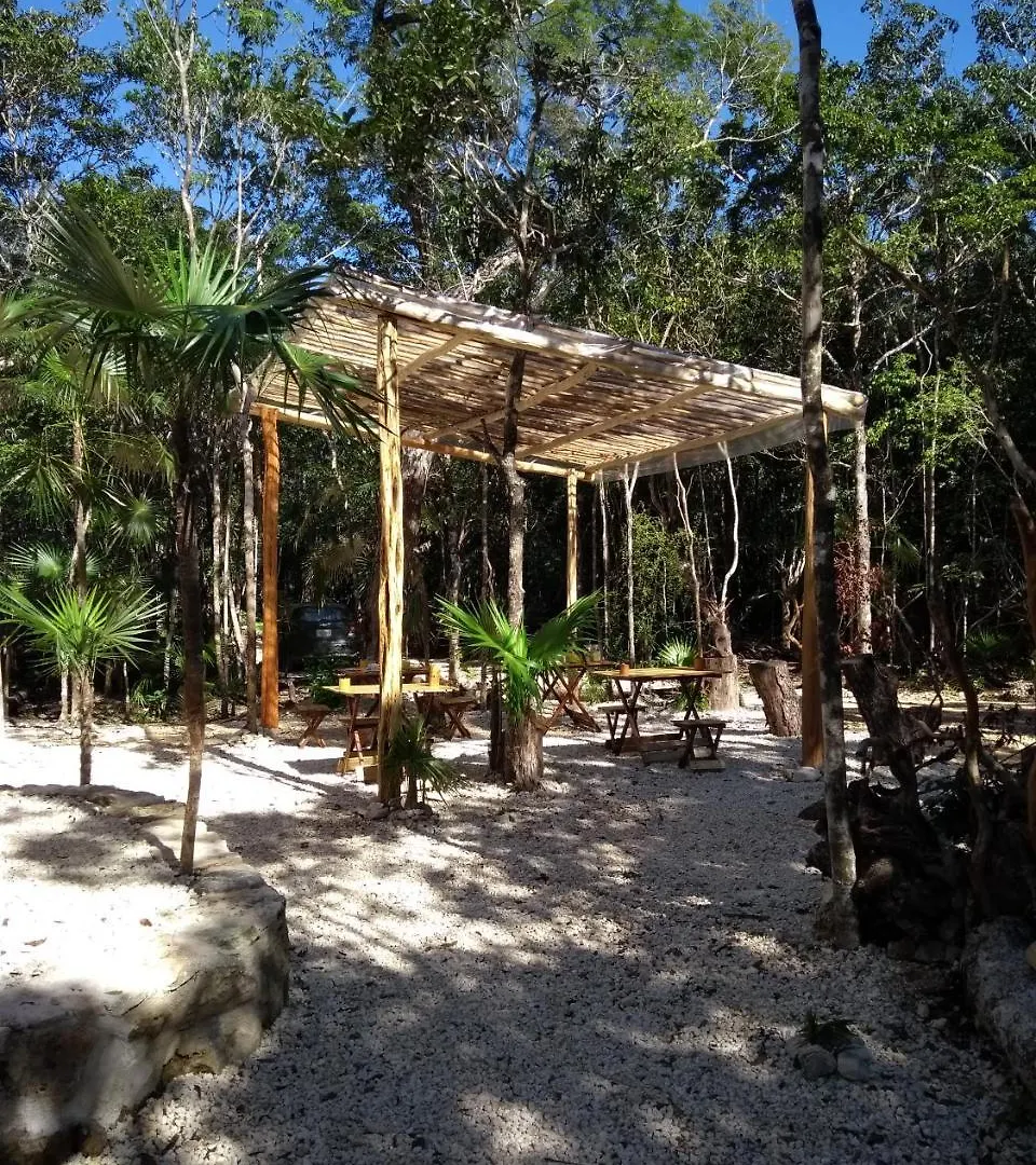 Bed & Breakfast Tooj Cheel Lodge Tulum